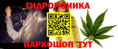 молекула духа Волжский