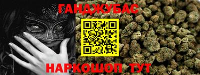 гидропоника Пугачёв